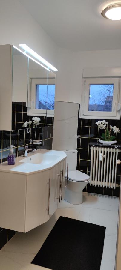 Schoene Und Optimal Gelegene Wohnung Og Weisskirchen 外观 照片